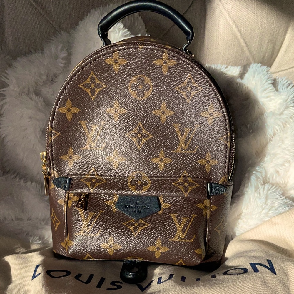 Louis Vuitton Palm Springs Mini SOLD